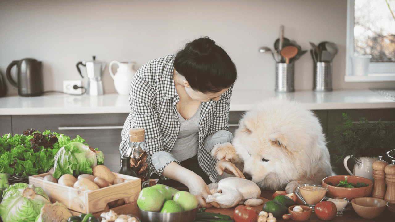 Frau bereitet in der Küche frische Zutaten zu, großer Hund schnuppert neugierig am rohen Hähnchen auf der Arbeitsplatte.