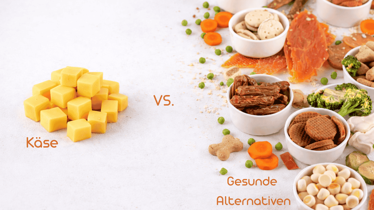 Käsewürfel links mit „Käse“, rechts viele Snacks und Zutaten mit „Gesunde Alternativen“, dazwischen „vs.“ auf hellem Hintergrund.