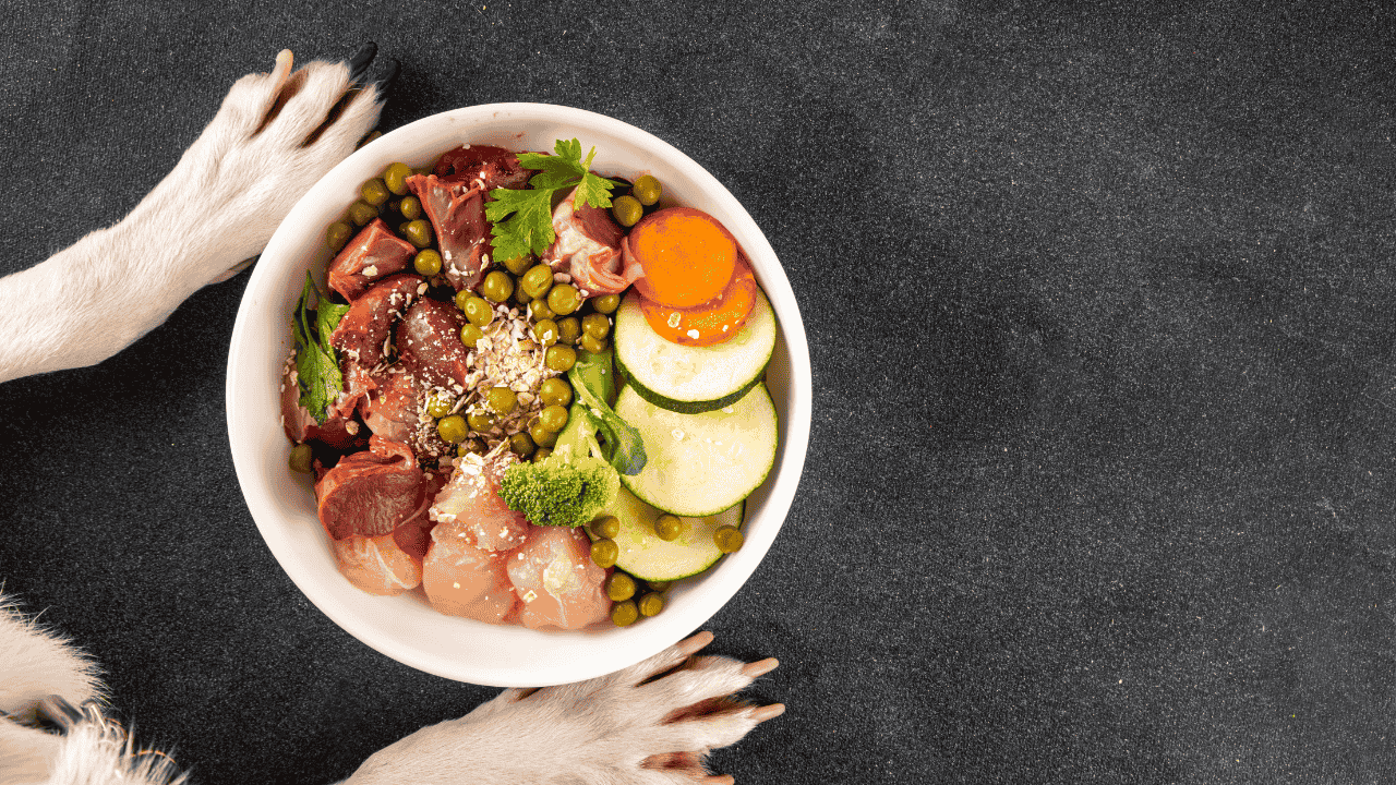 Hundenapf mit rohem Fleisch, Hähnchen, Gemüse und Haferflocken, Hundepfoten am Rand