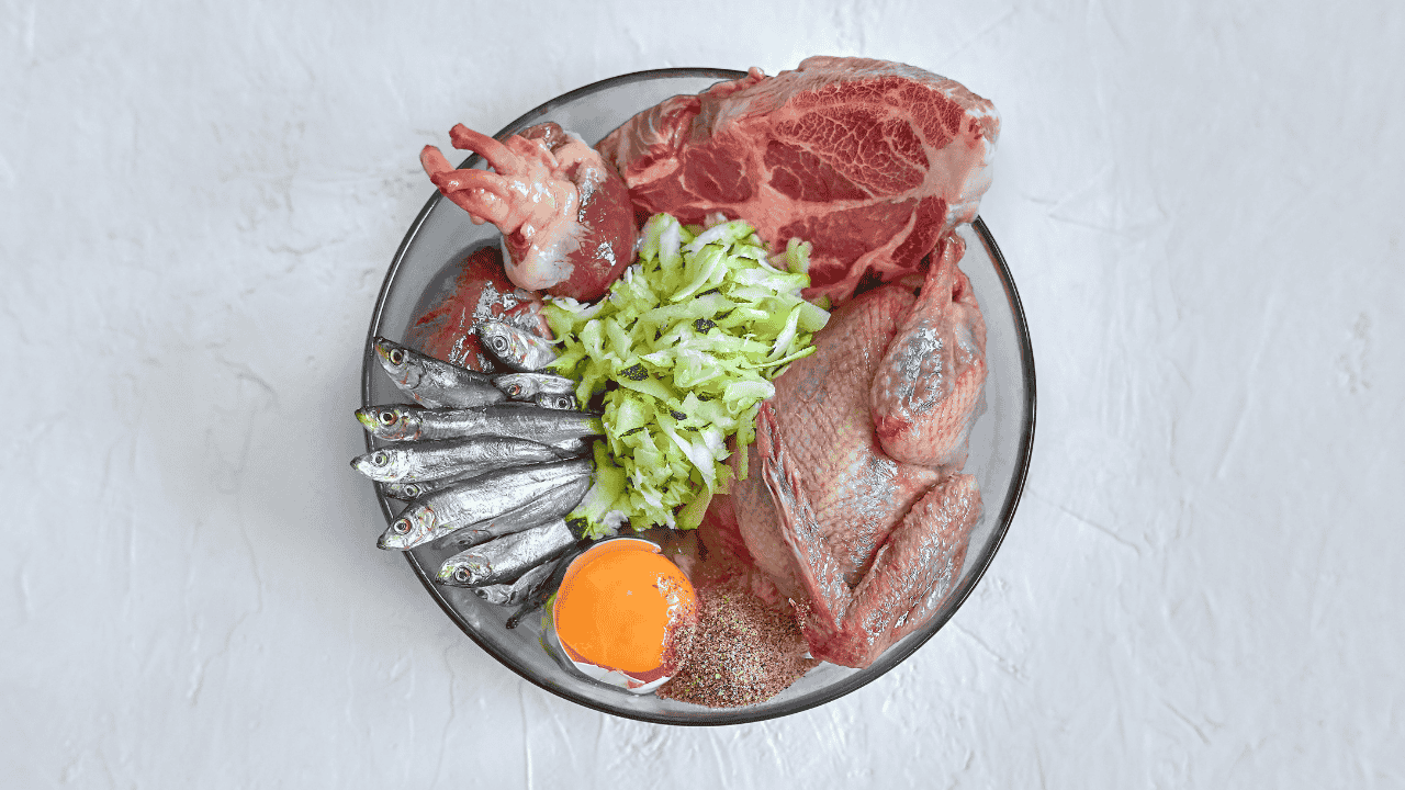 Schüssel mit rohen BARF-Zutaten für Hunde: Fleisch, Hühnerteile, Fisch, Ei, geriebene Zucchini und Gewürze.