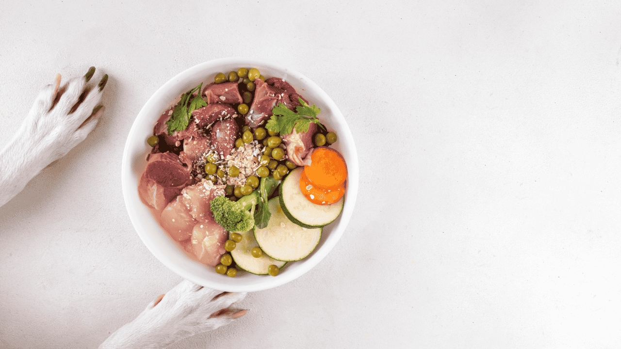 Schüssel mit BARF-Hundefutter aus rohem Fleisch, Gemüse, Haferflocken und Erbsen, daneben Hundepfoten.