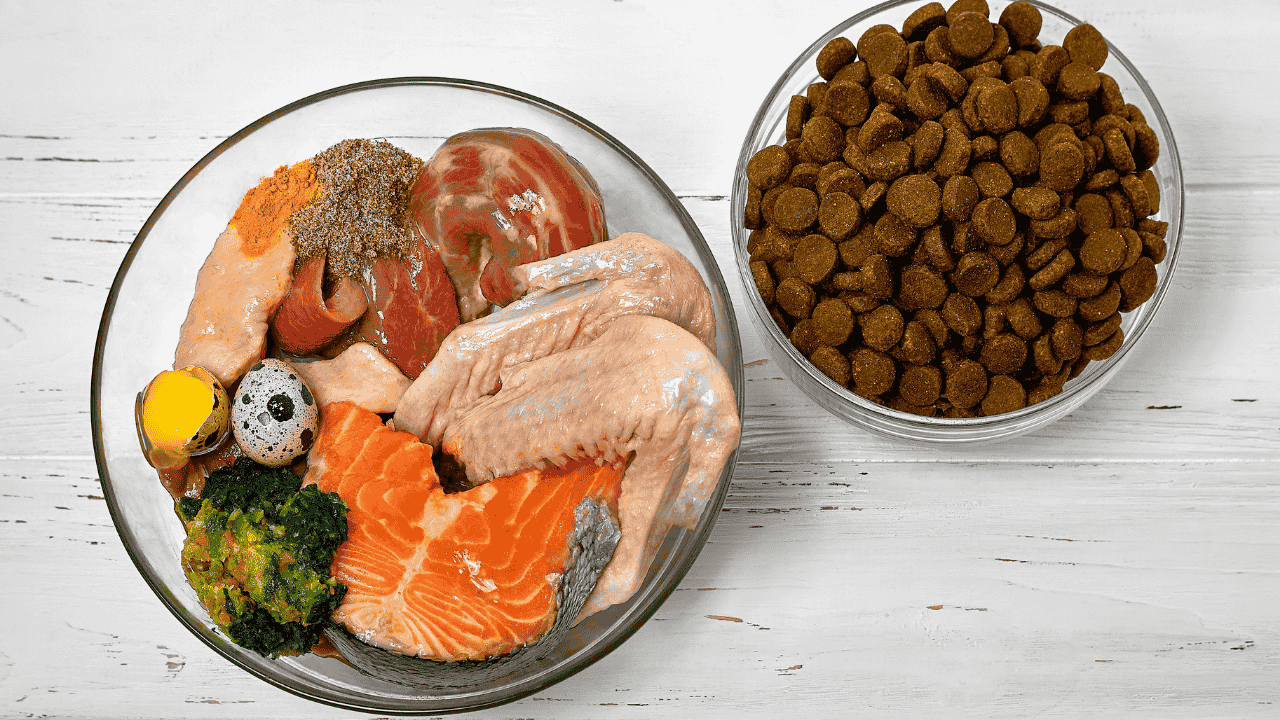 Schüssel mit BARF-Zutaten wie Fleisch, Lachs, Ei, Brokkoli und Gewürzen neben einer Schüssel mit Trockenfutter.