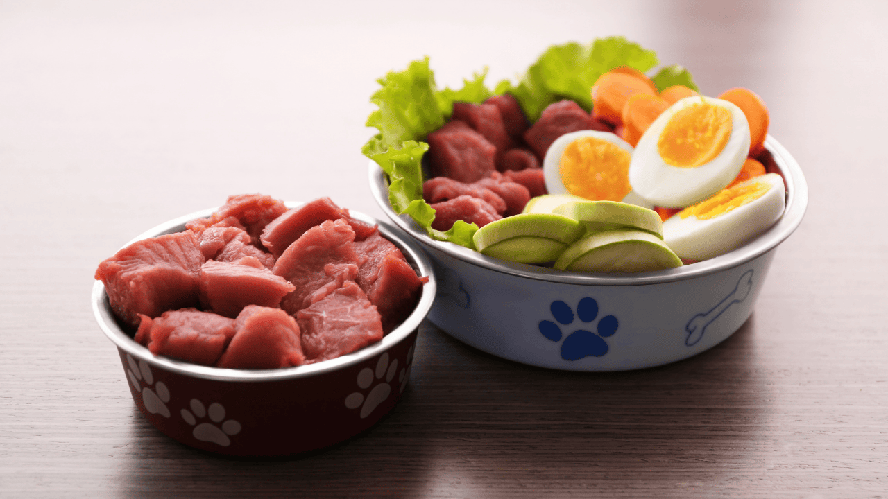 Zwei Futternäpfe mit BARF-Hundefutter: rohes Fleisch sowie Gemüse, Ei und Salat.