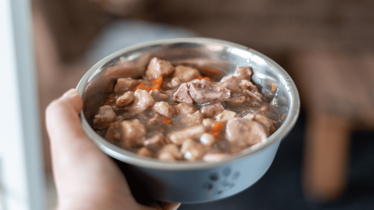 Hand hält Napf mit Nassfutter für Hunde mit Fleischstücken und Gemüse in Soße.