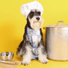 Hund mit Kochmütze und Schürze sitzt neben Kochtopf und Küchenutensilien.