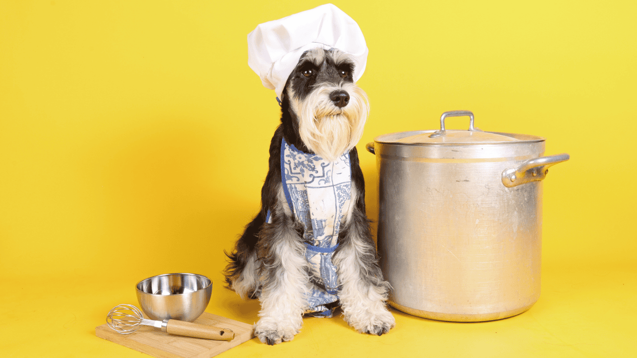 Hund mit Kochmütze und Schürze sitzt neben Kochtopf und Küchenutensilien.